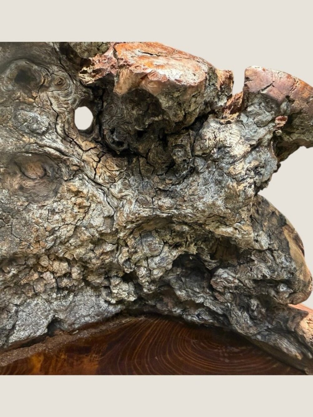 Vintage Burl Root Wood Abstract Sculpture Live Edge Base Organic Modern 17" - Picture 7 of 15